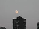 DSCN4448.JPG